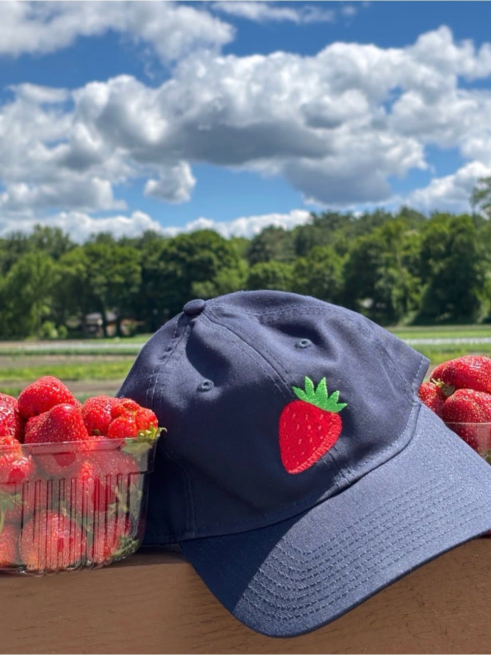 Wilson Farm Strawberry Hat